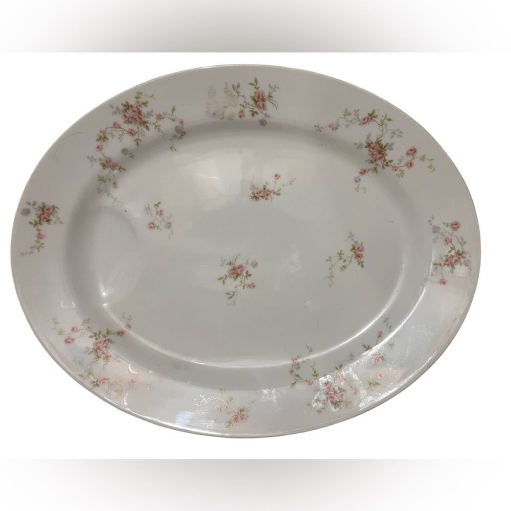 Theodore Haviland  France Vintage Large Oval Spa Porcelain Platter X-Large